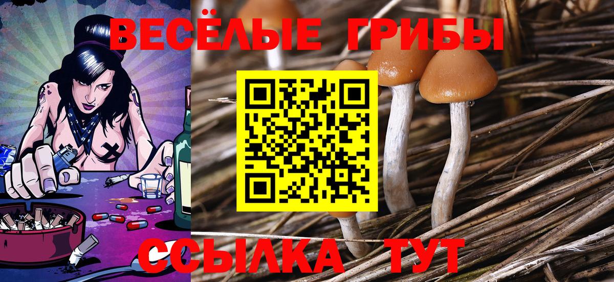Псилоцибиновые грибы мухоморы  Вход с VPN  Псилоцибиновые грибы прущие грибы  Новоалтайск 