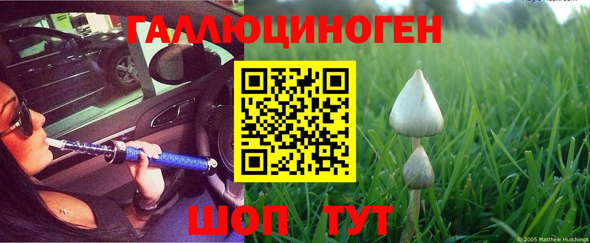 Галлюциногенные грибы мицелий Новоалтайск